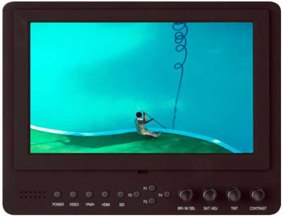 Video camera monitor